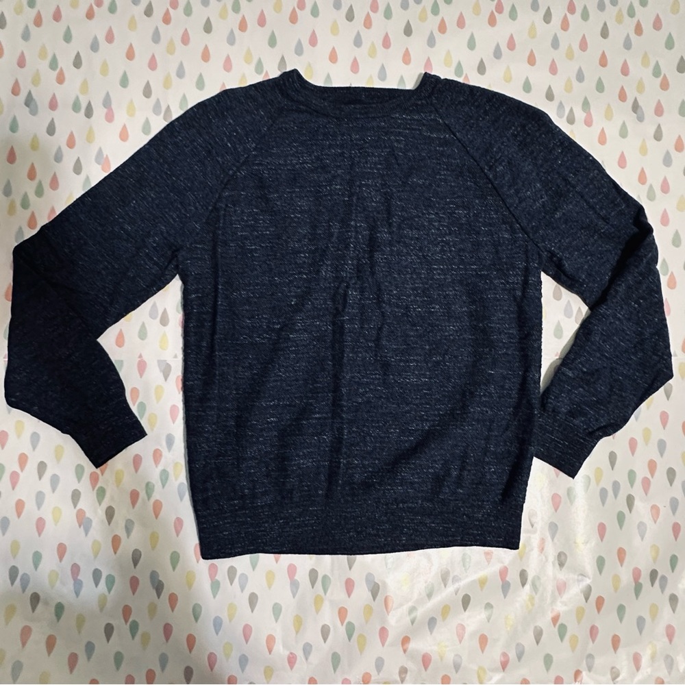 Men’s J.Crew navy blue sweater